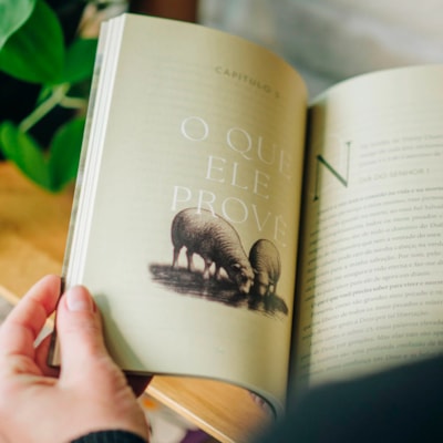 image_863d4ab1-533a-4561-a629-f69048b19ac7