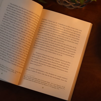 image_e9883636-b178-428b-ad52-84ea50ac1bf1