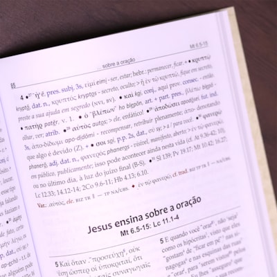 image_3f130f16-a9ae-4c5c-9737-7c66747ba066