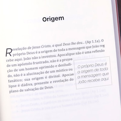 image_e6224f23-5a49-410a-b4c7-b21e62cf175b