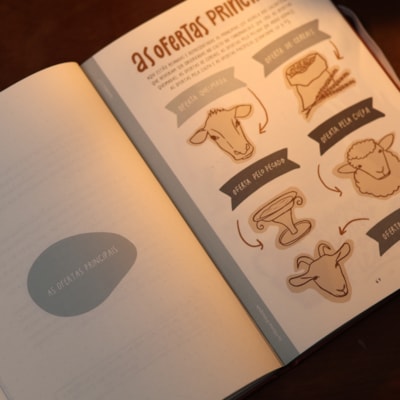 image_a2b89f5f-b5d7-4d16-b3d8-de967d46f842