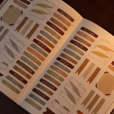 image_847335da-1db4-4674-a719-efa3e06e45c4