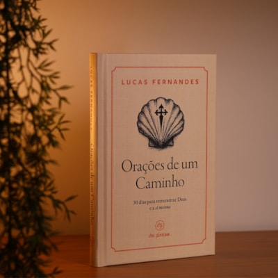 image_9bde90f2-6672-4a5e-b73a-26b590f62d68