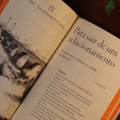 image_9177bb46-f625-4548-ae30-5c1383274dc0