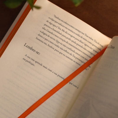 image_231110df-f2d9-49b5-ba3d-24a3d473ff2c