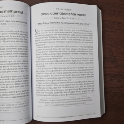 image_e6dbf027-8110-4f3a-bf91-089310d28aaf