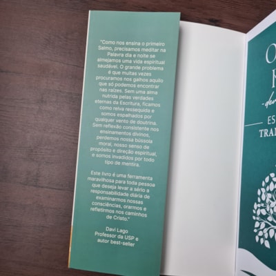 image_174d888b-c411-4cb1-9647-ee55ad87fe4e