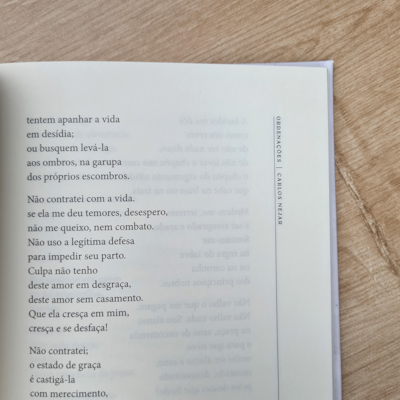 image_d5e71d0d-a511-41c7-8c3b-f9de32fbe208