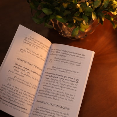 image_dcab47ec-7083-47b8-9ba3-44315b109b0d