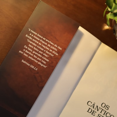 image_97f1f92b-cc65-4895-b1fc-ce1b1b0a6f7b