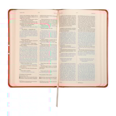 image_f2ed4f94-e281-4d68-bf2b-d07d3fa6cc70