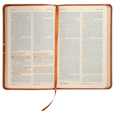 image_b0ede4fc-0694-41d3-a7c1-2461fb1d575a