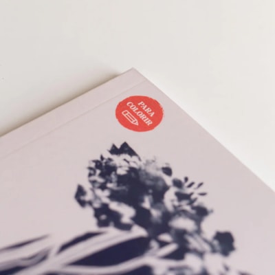 image_acedfc3f-ec7f-4485-ba00-842fac29ba0c