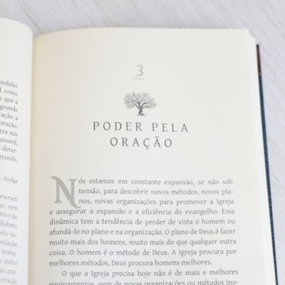 image_8a2f8b78-3585-4e94-909c-480a69a25a1d