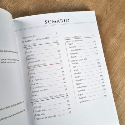 image_2fc8b4fa-b21a-44b1-ac86-a027f8b9dd61