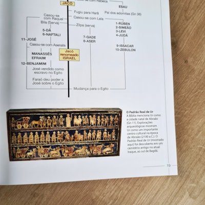 image_aff21ed2-7ec9-4392-8a1f-928b0a4915cf