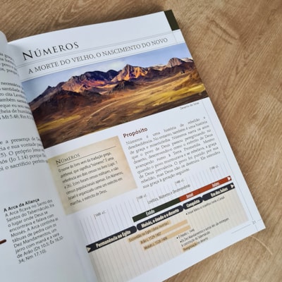 image_ed7915c0-731c-4bda-84be-81dbe92aa49d