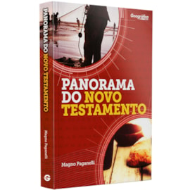 Panorama do Novo Testamento | Magno Paganelli