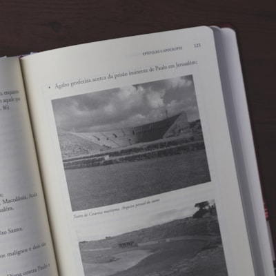 image_cd8f370d-ff69-4bf8-bf94-0480002cece3