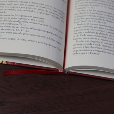 image_82e53175-58fc-4b13-83c7-2f17052aaf36