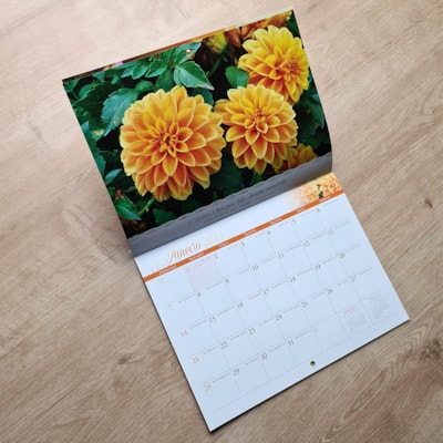 image_d23a53ae-5684-44af-baea-ba6bdc93158b