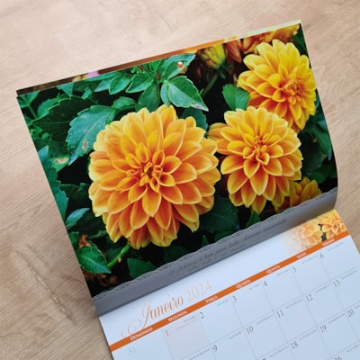 image_8cb70fcc-d2c1-48a3-b500-dfb8f4c4cee1