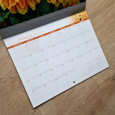 image_54d48829-bc96-4b08-8749-801f76d9b859