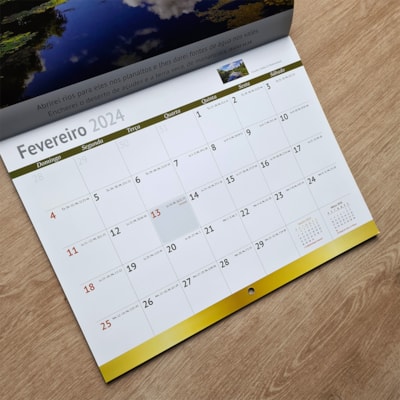 image_1aeb0143-ad40-42b4-b52b-1d1f34898797