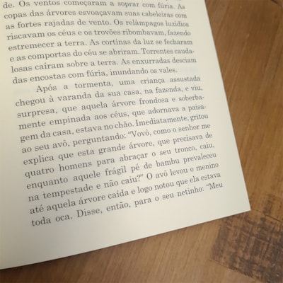 image_2d9be088-765e-47f0-af37-74cc2ba4b4f9