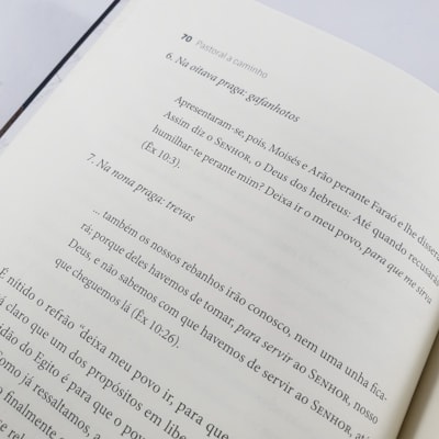 image_ba85ce13-349e-4ef2-b961-40dc5f5058a0