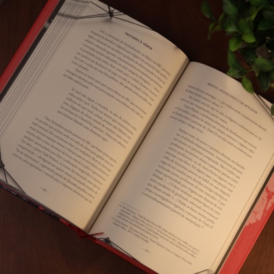 image_f490ee03-60f8-4f8a-821d-cf82f1032da5