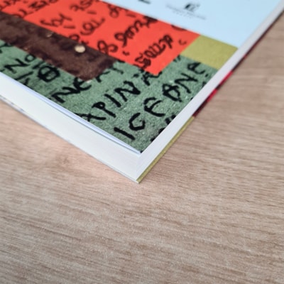 image_34a13488-6c14-4ee2-87bf-5c3bcde89a91