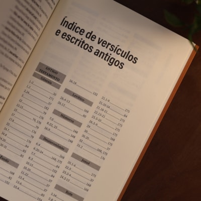 image_eed1feca-7684-4ba3-872d-90db23a21101