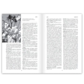 Segunda imagem do produto Pequena Enciclopédia Bíblica | Capa Dura | Orlando Boyer