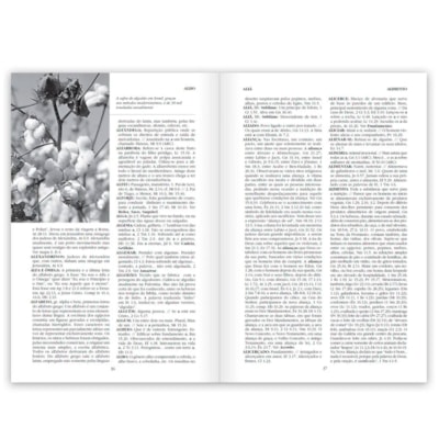 image_a62886f7-8234-4b85-8c69-f935f3f4c9df