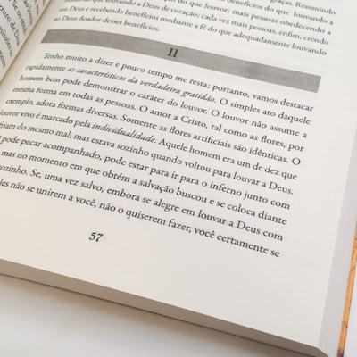 image_559d93c6-9d63-4382-ab8a-8856b5dce1dd