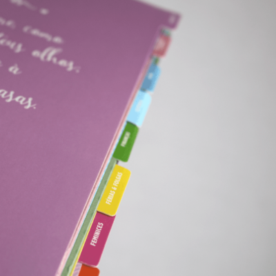 image_c50ee678-a3b9-41b6-b067-054529371834