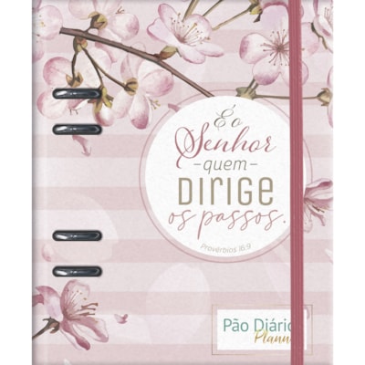 Imagem Principal - b2b59272-c3f6-4ab1-84f6-66f11c6de968