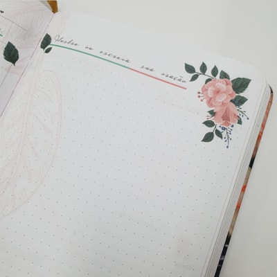 image_af3ba2ff-5fce-411a-bb07-52946679401e