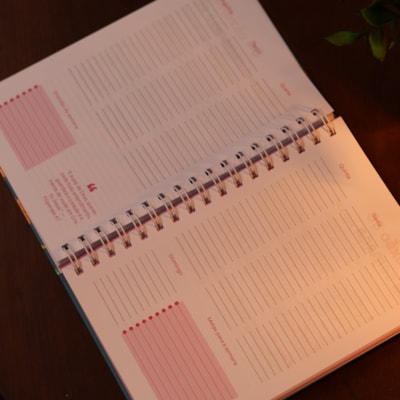 image_411e272d-fd01-4489-a672-482fd21ff6dd