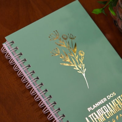 image_4e06507e-bd2d-4c89-9998-8bd50cda8304