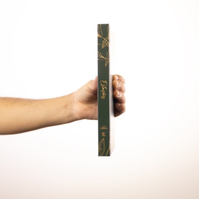 image_21db6c71-3be9-4291-b358-e3d0bd0b46d8