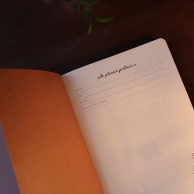 image_ad79d071-ce05-47ae-8fcd-6edefc5a31cf