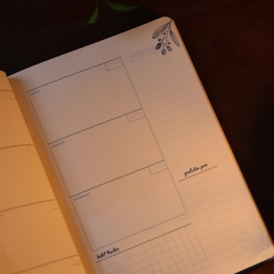 image_c60d0566-ba5b-41b9-b278-57d7ac2ac49d