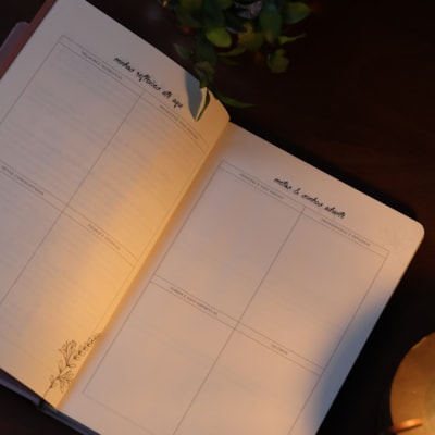 image_bfa7830a-e036-483e-a872-76b0a467c9f0