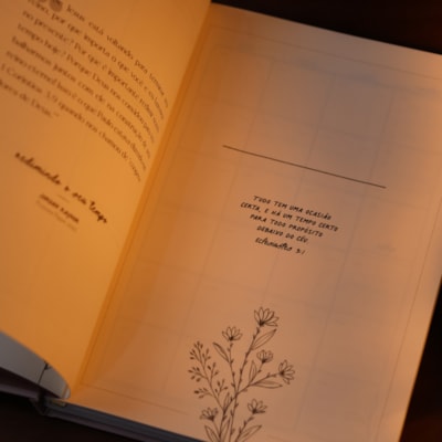 image_397a0537-e38a-48a6-8f46-dcc6eacde4fa