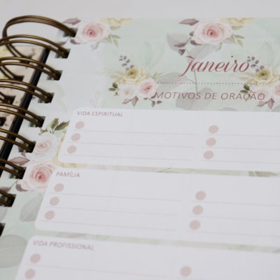 image_913e843e-52b0-422f-934d-d916bb2607d1