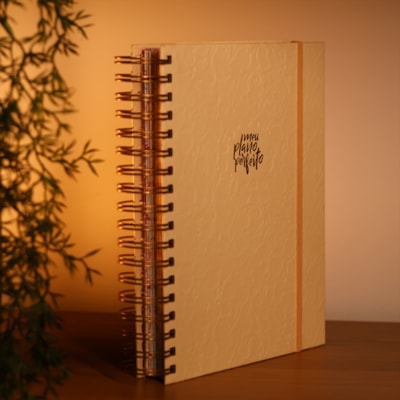 Segunda imagem do produto Planner Meu Plano Perfeito | Capa Dura Creme