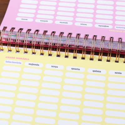 image_ec09a703-b1d6-42d5-9f5c-90636242a153