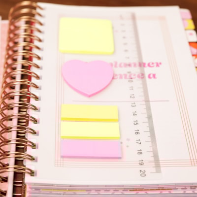 image_032d61ce-5d2d-4fad-afef-bf8c7a749271